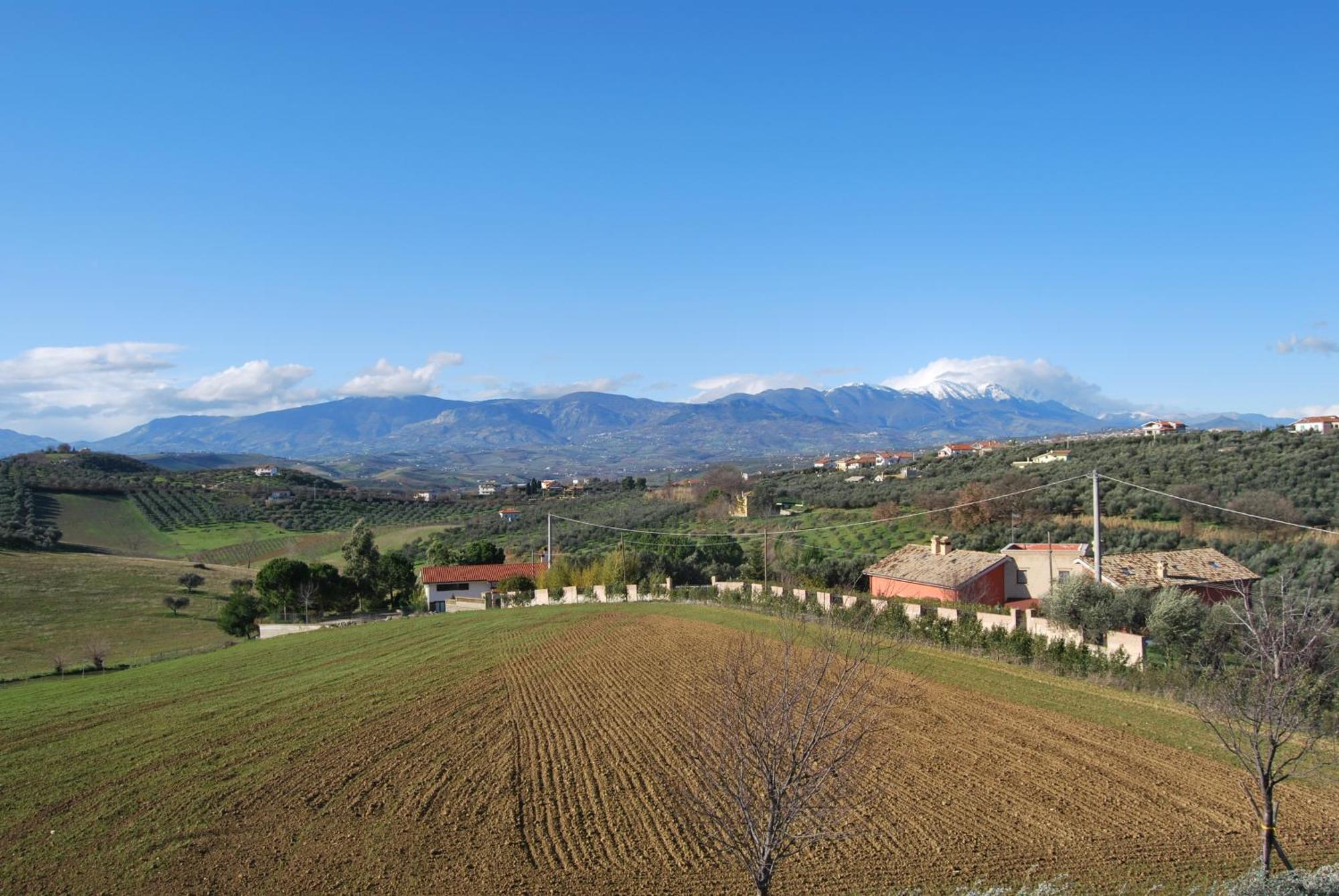 Agriturismo Fattoria Colle Luca Villa Moscufo Esterno foto